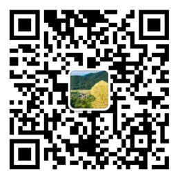 万利游戏